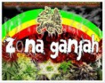 /album/rana/a2003-con-ayuda-del-error-001-jpg2/